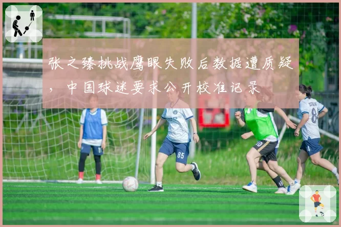 张之臻挑战鹰眼失败后数据遭质疑,中国球迷要求公开校准记录