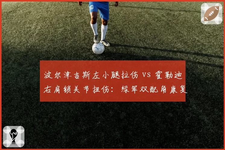 波尔津吉斯左小腿拉伤 vs 霍勒迪右肩锁关节扭伤：绿军双配角康复方案差异分析