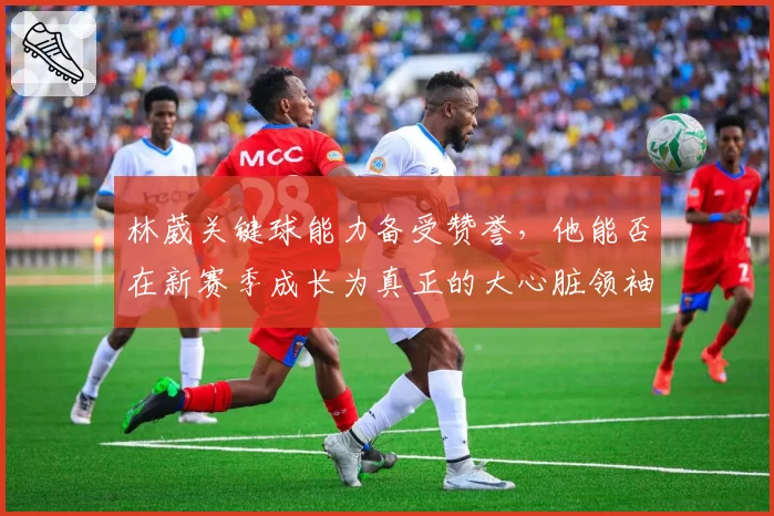 林葳关键球能力备受赞誉，他能否在新赛季成长为真正的大心脏领袖？