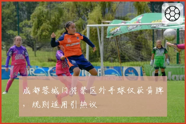 成都蓉城门将禁区外手球仅获黄牌，规则适用引热议