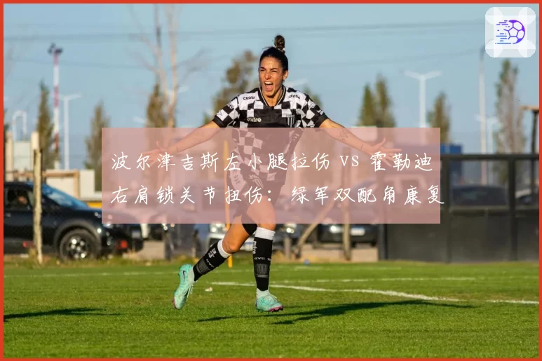 波尔津吉斯左小腿拉伤 vs 霍勒迪右肩锁关节扭伤：绿军双配角康复方案差异分析